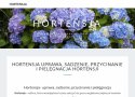 Blog o hortensji